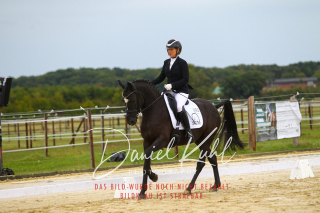 DKP43559 | Turniersportfotografie; Pferdefotografie; Dressurfotografie