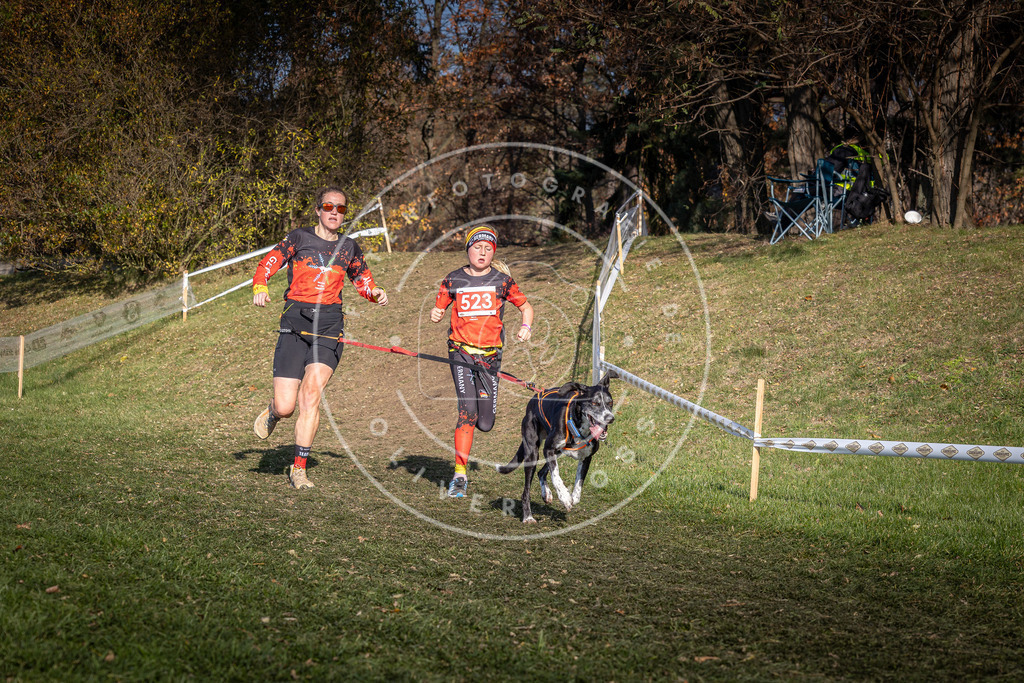 CaniXpix_0L8A8648 | Hundefotografie, Tierfotograf, Pfotenfotografie, Fotoshooting Hund, Hunde Portrait, Hundesport, Hundeportraits, Heideshooting, Hunde, Sportfotograf, Hundefotograf, Turnierhundsport, THS,  - Realisiert mit Pictrs.com