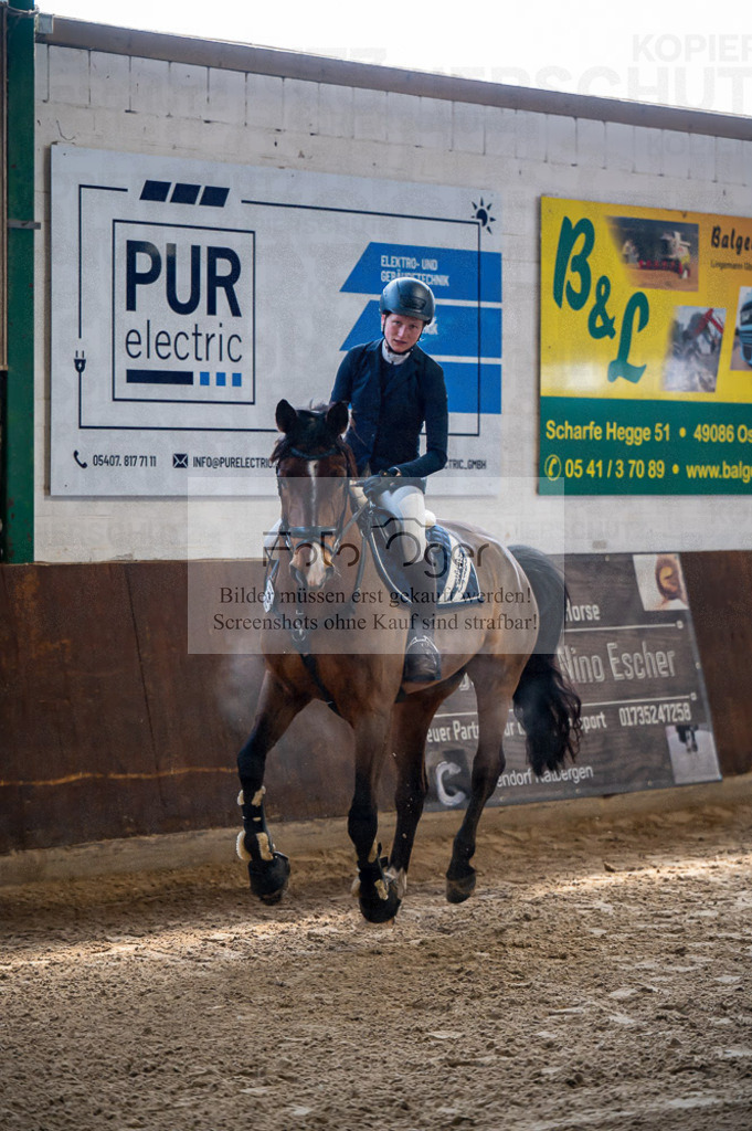 Hallenreittunier Voxtrup 2023 | Entdecke hochwertige Reitturnierfotos von Foto Oger. Professionell, emotional und authentisch – jetzt Lieblingsmomente im Shop bestellen.Deutschlandweite Turnierfotografie. - Realisiert mit Pictrs.com
