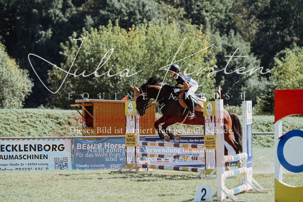 DSC_6569 | Pferde- und Turnierfotografie in Westsachsen. Pferdeportraits, Auftragszeichnungen und intuitive Kunst.