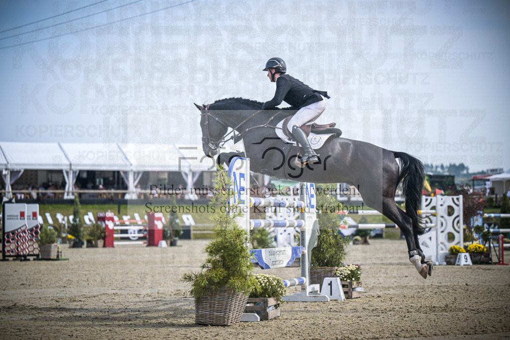 DOS_0123 | Entdecke hochwertige Reitturnierfotos von Foto Oger. Professionell, emotional und authentisch – jetzt Lieblingsmomente im Shop bestellen.Deutschlandweite Turnierfotografie. - Realisiert mit Pictrs.com