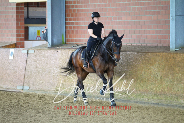 DKP42949 | Turniersportfotografie; Pferdefotografie; Dressurfotografie