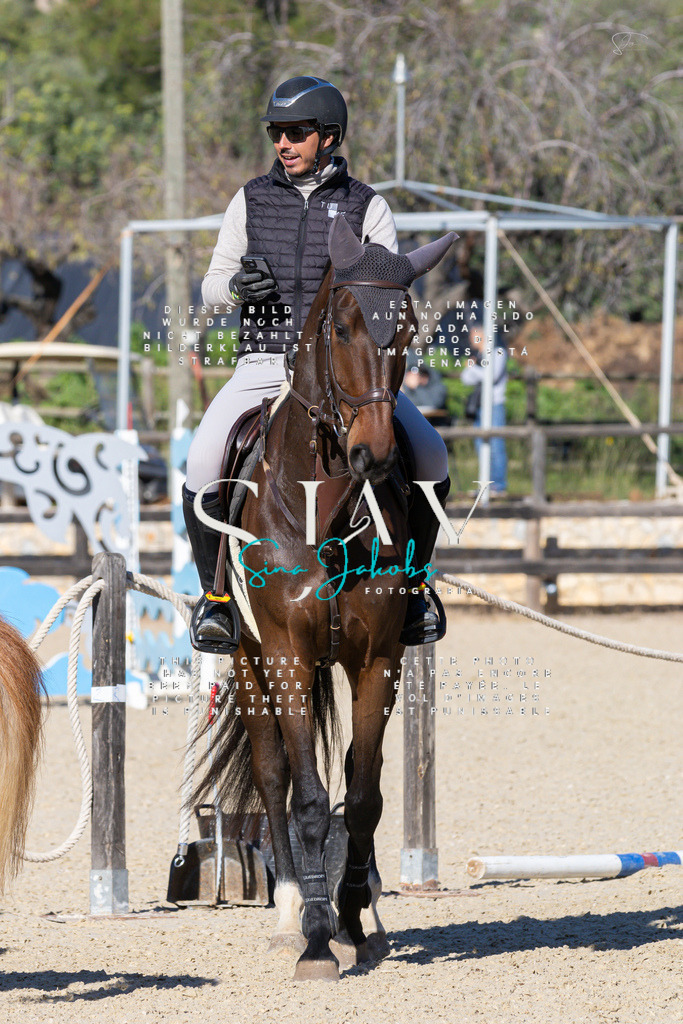 IMG_2062 | s-jay-photography - Realisiert mit Pictrs.com