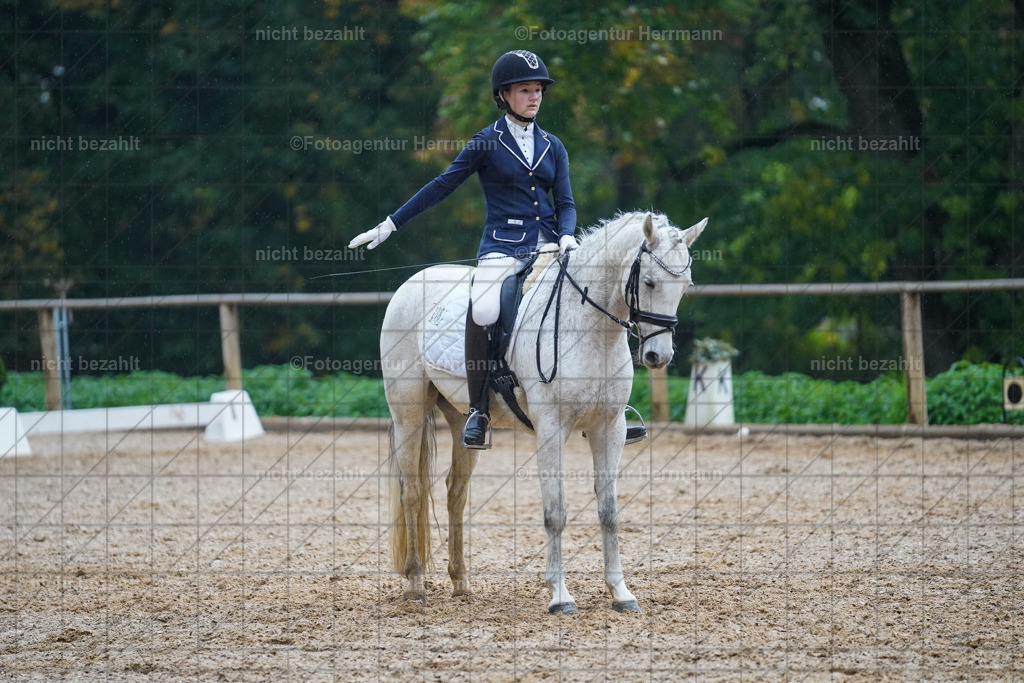 20221008-FAH02193 | Diessen am Ammersee, 2022, Dressur- und Springturnier, Reitsportbilder, Turnierfotografen Bayern, Pferdefotografen, Fotoagentur Herrmann, Turnierbilder