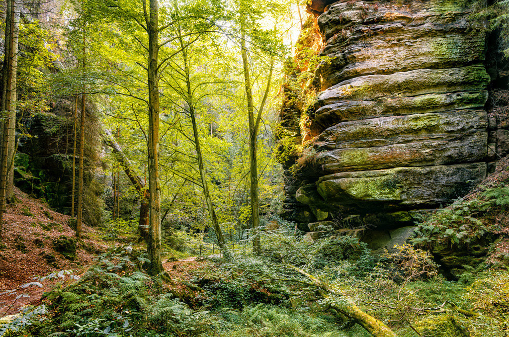 Enge Schlucht im Uttewalder Grund,Sächsischer Schweiz | Das Bild zeigt den Uttewalder Grund in der Sächsischen Schweiz, eine enge Schlucht im Elbsandsteingebirge.Typisch für diese Landschaft sind die markanten Sandsteinfelsen, die von dichtem Moos bewachsen sind.Der Ort ist bekannt für seine romantische Stimmung und kühle Wege, selbst im Hochsommer.Die Gegend ist ein beliebtes Wanderziel und liegt in der Nähe von Lohmen und Wehlen - Realisiert mit Pictrs.com