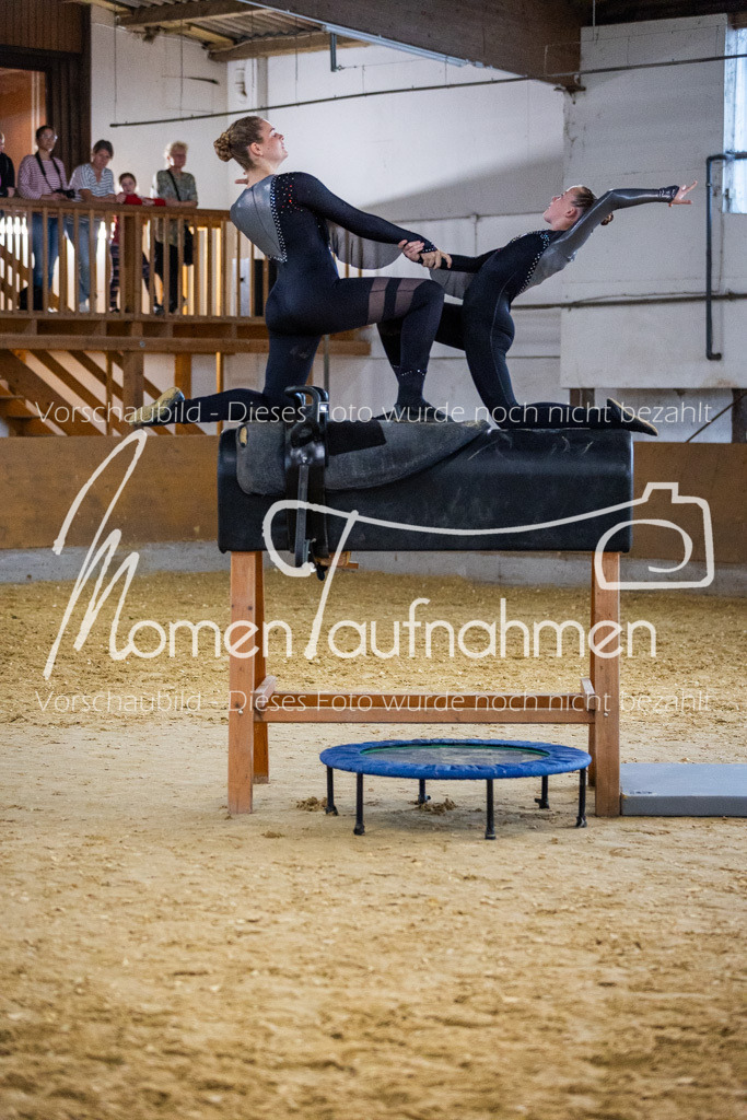 Holzpferd-026 | MomenTaufnahmen Pferdesportfotos