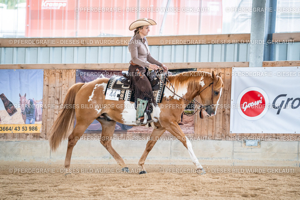 DSC09038 | Pferdegrafie