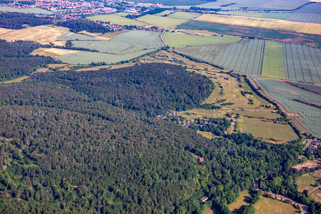 Luftbild: Golfclub Schloß Meisdorf e.V. im Ortsteil Meisdorf in Falkenstein im Bundesland Sachsen-Anhalt in Deutschland. Foto: IMG_136761.jpg vom 18.06.2023 durch Werner Riehm/FLY-FOTO.deGolfclub Schloss Meisdorf