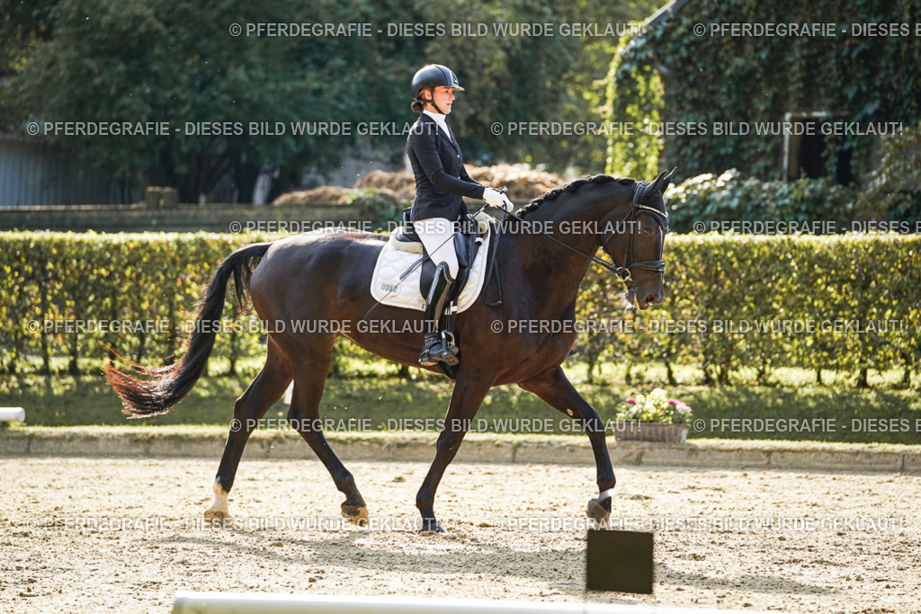 DSC05642 | Pferdegrafie