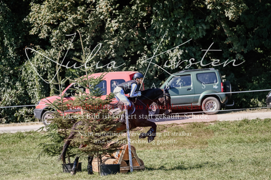DSC_2784 | Pferde- und Turnierfotografie in Westsachsen. Pferdeportraits, Auftragszeichnungen und intuitive Kunst.