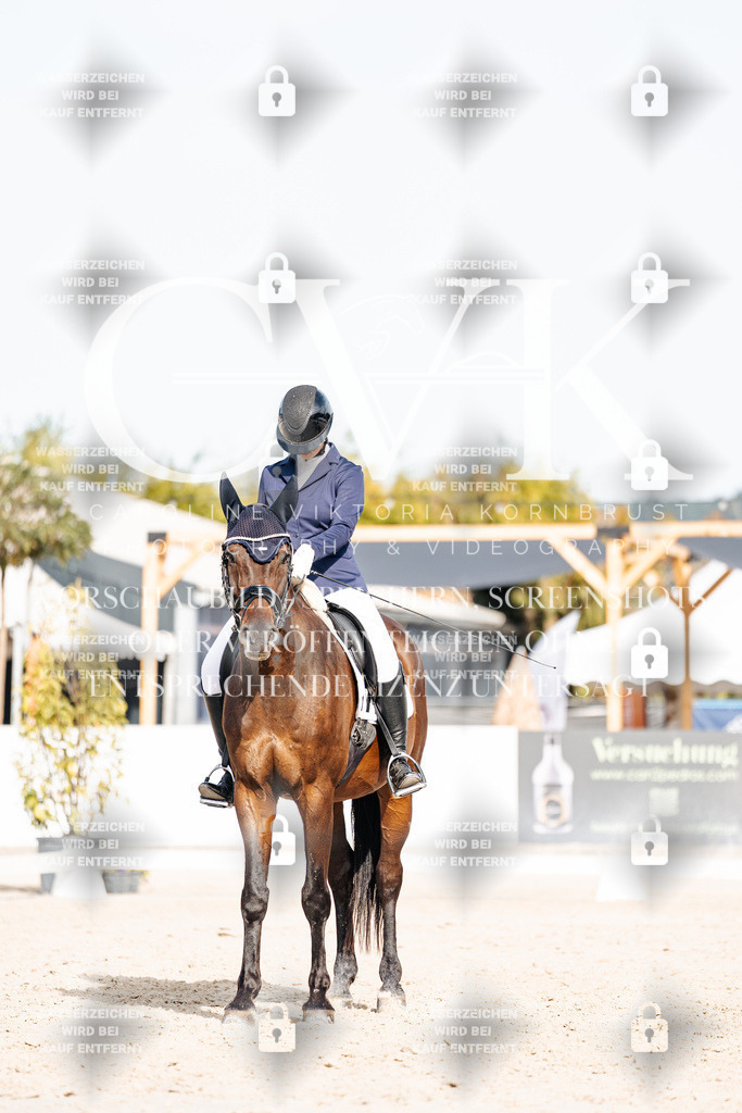 CK904995 | Turnierfotografie Pferdefotografie Trier Rheinland-Pfalz Pferdesport Reitsport Tierfotografie Sportfotografie Pferdevideo Pferdevideografie Equestrianvideography equestrianphotography  - Realisiert mit Pictrs.com