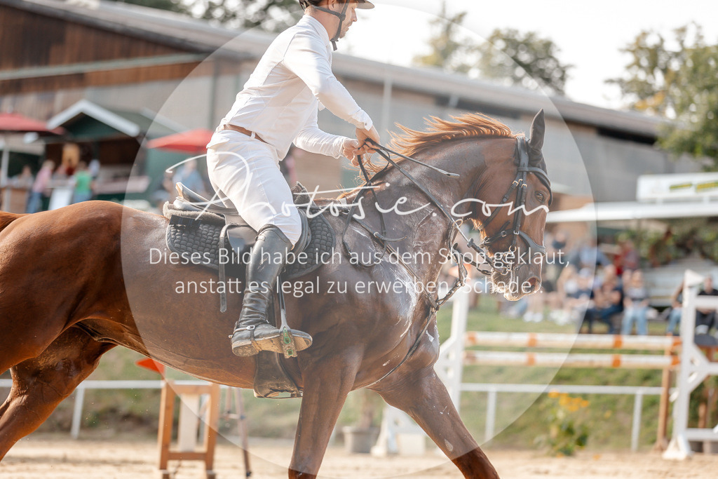 3I6A5156 | Stimmungsvolle Portraits und Reitsportfotografie im Ruhrgebiet und im Münsterland.

Pferdefotografie, Hundefotografie, Tierfotografie, Reportagen, Portraits von Tier und Mensch, Turnierfotografie in Bochum, Recklinghausen, Marl, Haltern am See, Dülmen.. - Realisiert mit Pictrs.com