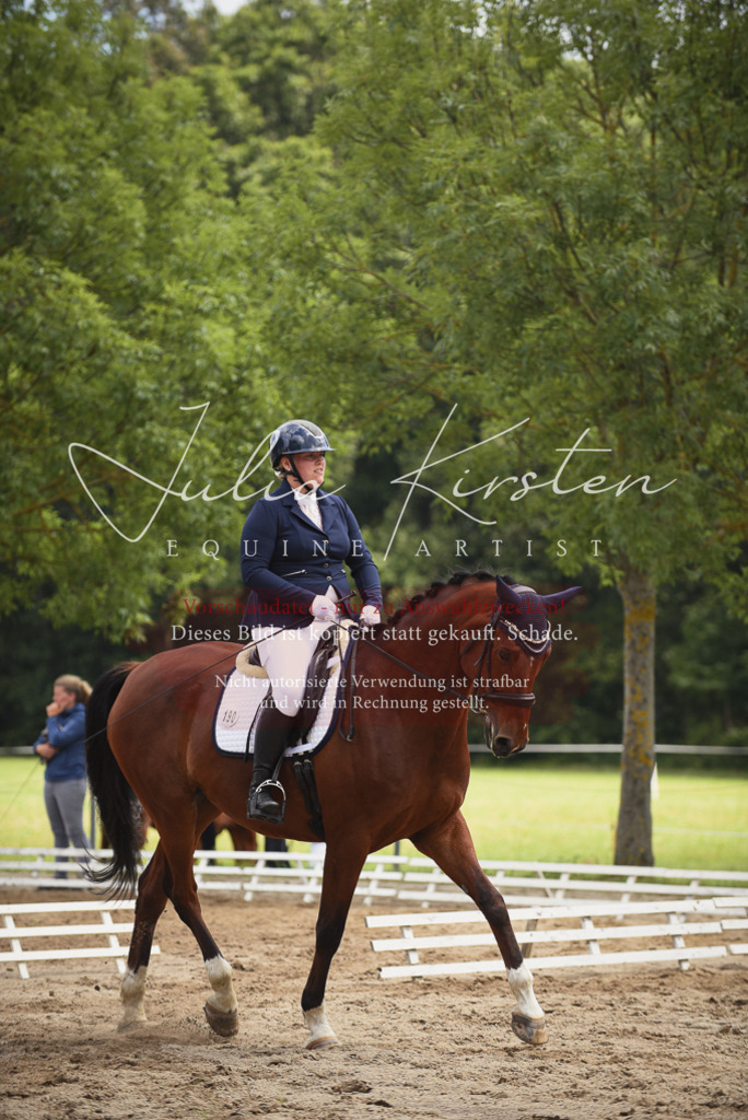 DSC_0807 | Pferde- und Turnierfotografie in Westsachsen. Pferdeportraits, Auftragszeichnungen und intuitive Kunst.
