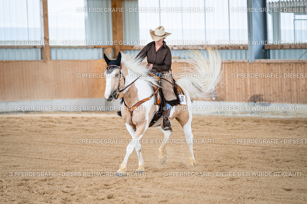 DSC09196 | Pferdegrafie