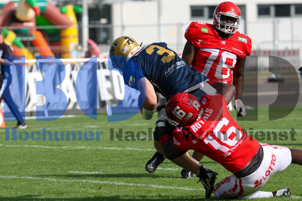 GFL: Potsdam Royals vs. Dresden Monarchs{date} -  | {headline}(Foto: Thomas Sobotzki / BOND) - Realisiert mit Pictrs.com