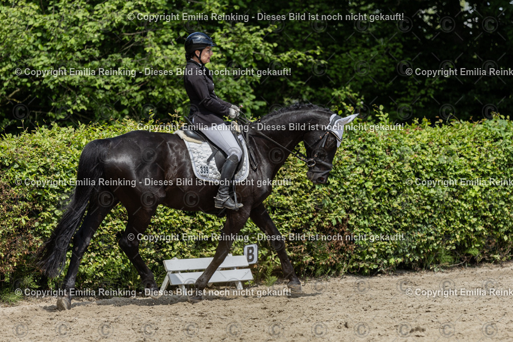 CL5A0347 | Emilia Reinking Fotografie - Realisiert mit Pictrs.com