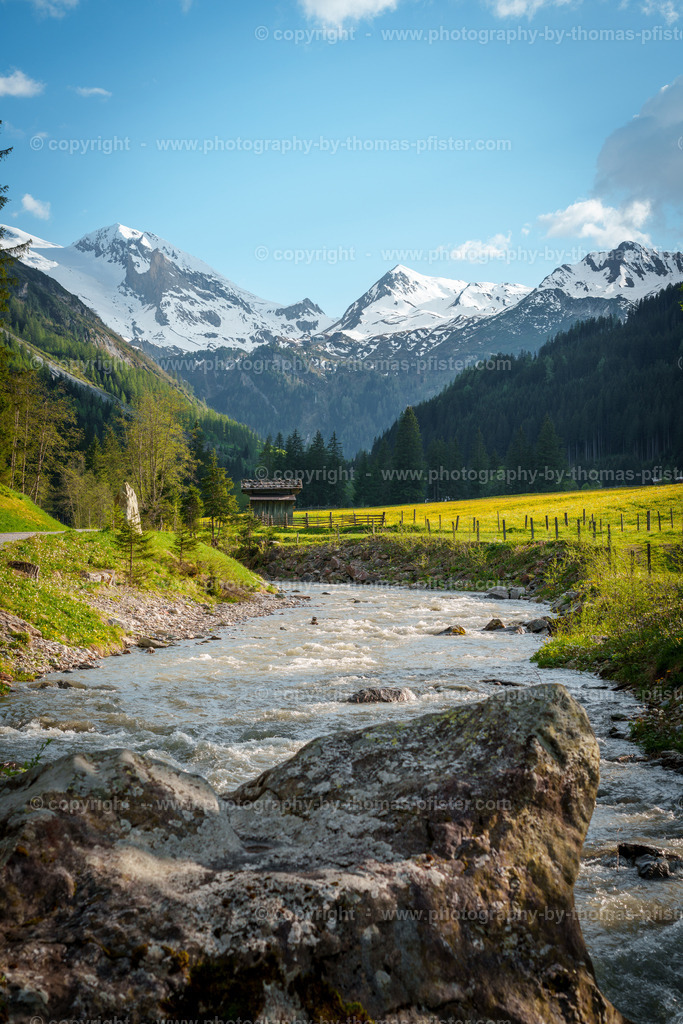 Madseit im Tuxertal Frühling copyright  Thomas Pfister-3 | PHOTOGRAPHY BY THOMAS PFISTER