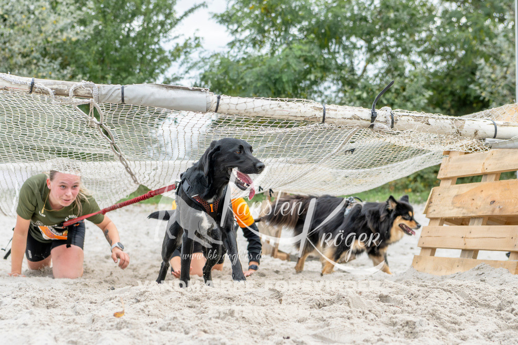 1517_ZZ94033 | kk-dogfotos