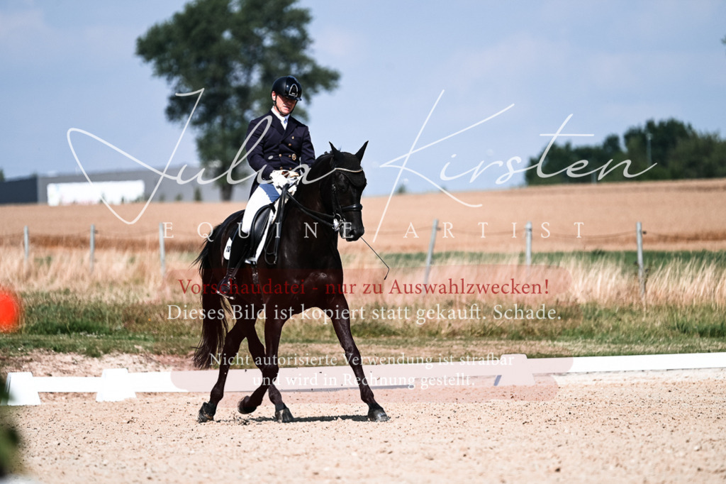 DSC_2989 | Pferde- und Turnierfotografie in Westsachsen. Pferdeportraits, Auftragszeichnungen und intuitive Kunst.