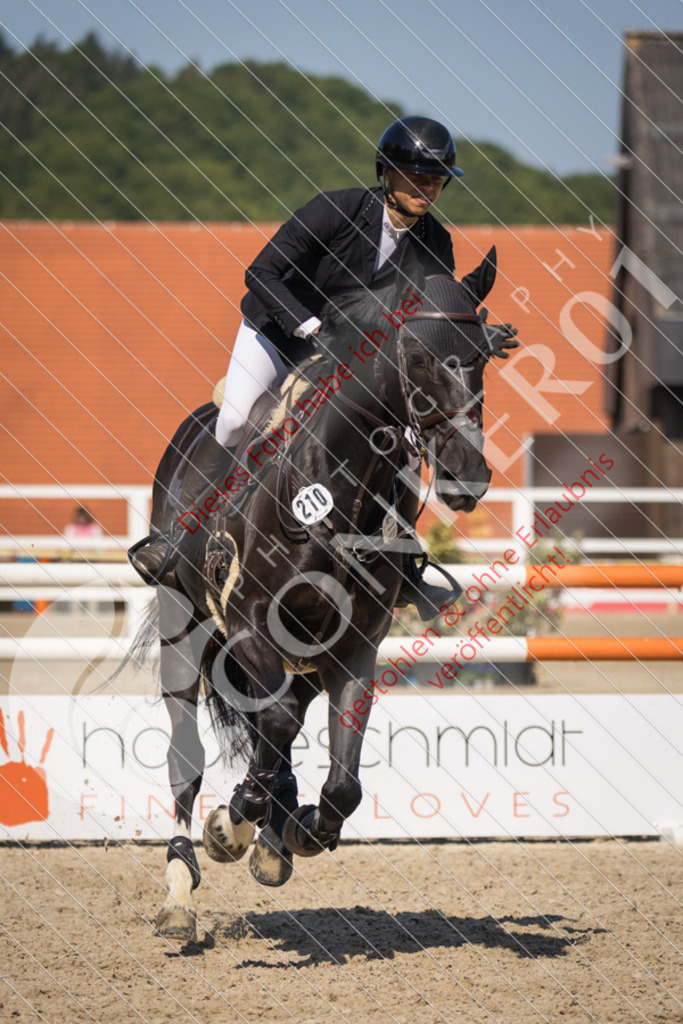 IMG_4030 | Sport-, Event- und Tierfotos in Profiqualität. Einfach auswählen, bestellen und herunterladen. Dein Moment – perfekt festgehalten.