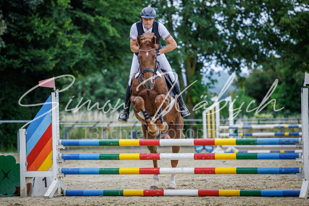 20260705-_3LI4329 | Tierfotografie Pferde, Hunde, Katzen, Haustiere.
Turnierfotografie Reitturniere, Reiten, Springreiten, Dressur in Hanau, dem Main-Kinzig-Kreis und dem Rhein-Main- Gebiet um Frankfurt