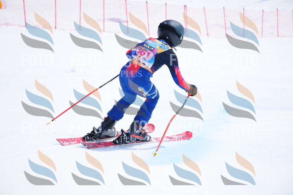 DSC_7226 | holidayphoto