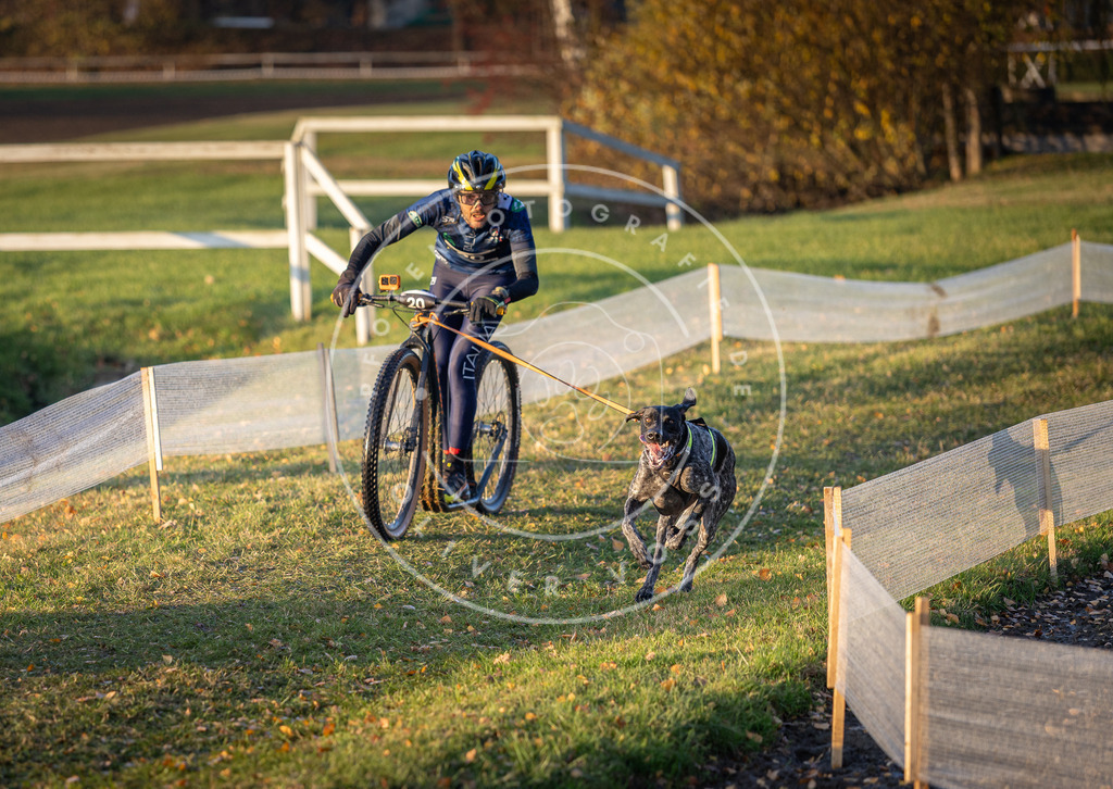 CaniXpix_DV3A9675 | Hundefotografie, Tierfotograf, Pfotenfotografie, Fotoshooting Hund, Hunde Portrait, Hundesport, Hundeportraits, Heideshooting, Hunde, Sportfotograf, Hundefotograf, Turnierhundsport, THS,  - Realisiert mit Pictrs.com