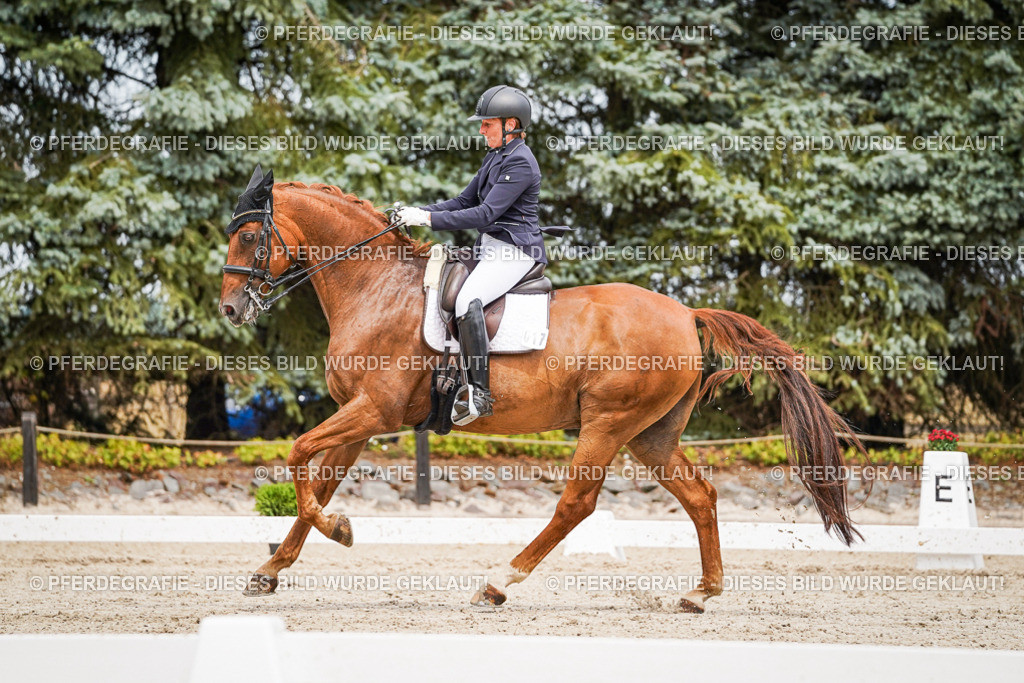 DSC05001 | Pferdegrafie