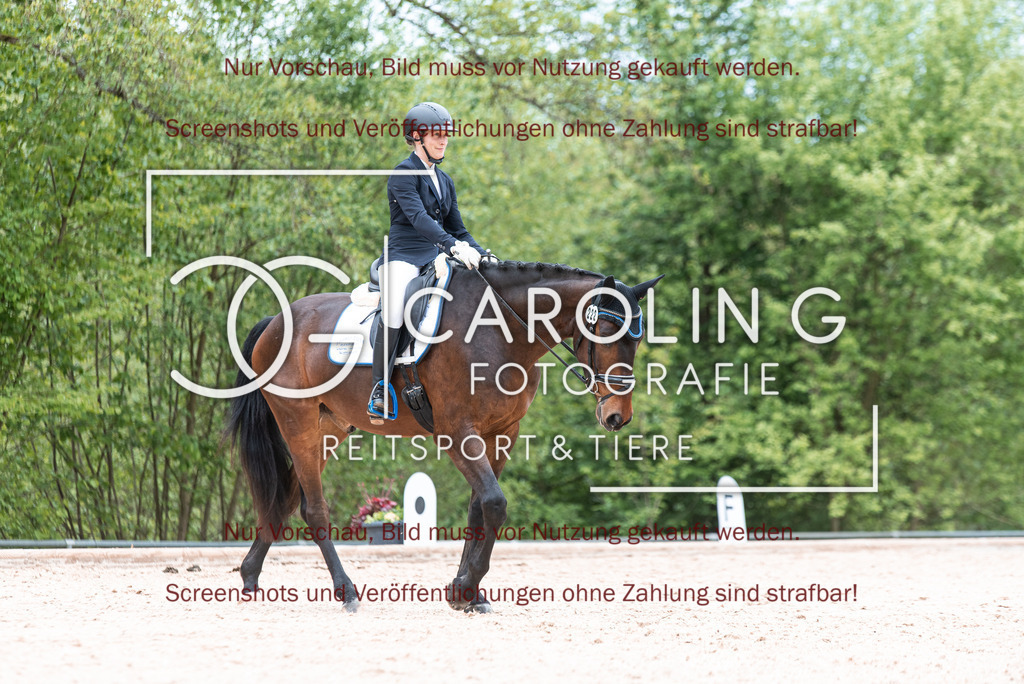 DSC_6911 | Turnierfotografin Carolin Gieschke,Reitsport Turnierfotografie Carolin G Fotografie | Turnierfotos aus Kirchheim/Teck, Esslingen, Stuttgart und dem Bodenseekreis