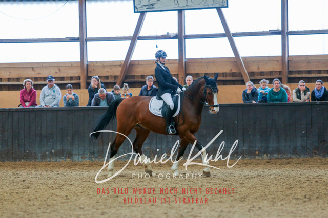 IMG_0553 | Turniersportfotografie; Pferdefotografie; Dressurfotografie