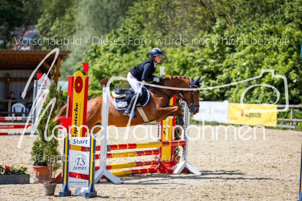 Donop24-SprRW-042 | MomenTaufnahmen Pferdesportfotos