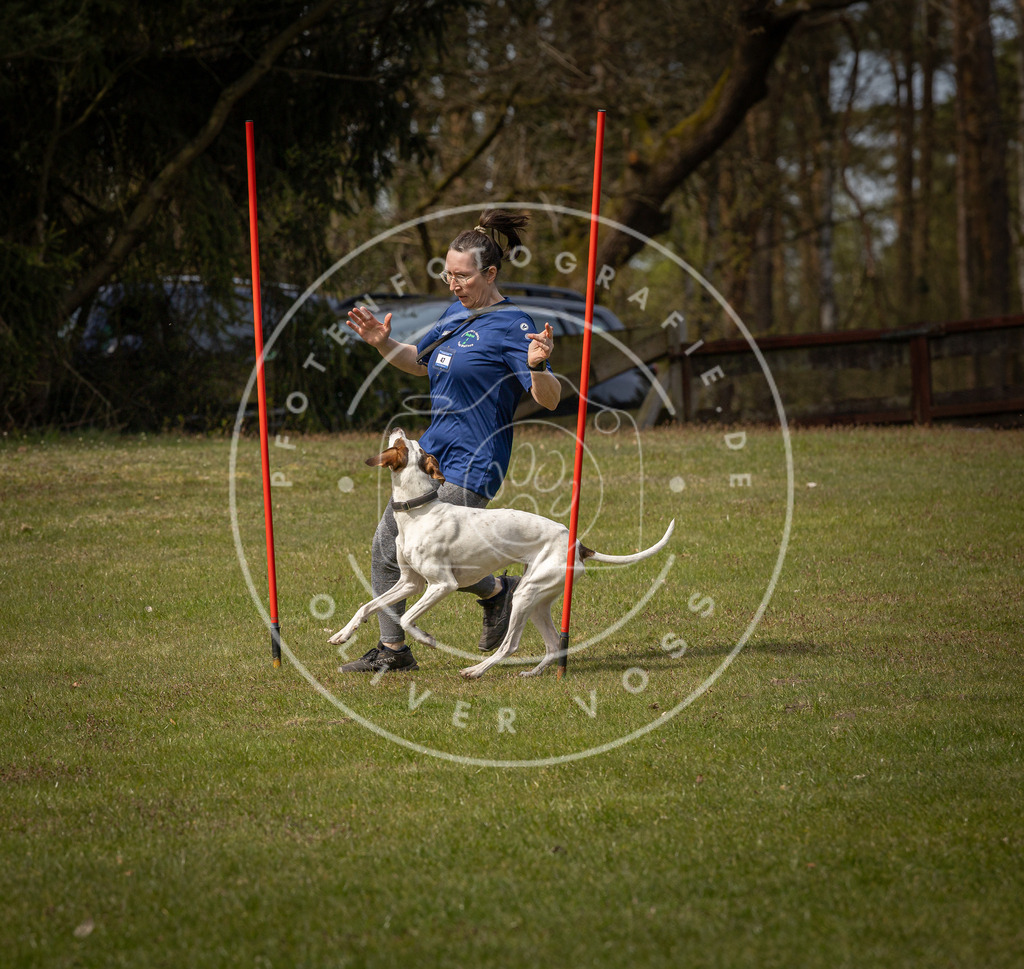 Pfotenfotografie_DV3A8071 | Hundefotografie, Tierfotograf, Pfotenfotografie, Fotoshooting Hund, Hunde Portrait, Hundesport, Hundeportraits, Heideshooting, Hunde, Sportfotograf, Hundefotograf, Turnierhundsport, THS,  - Realisiert mit Pictrs.com