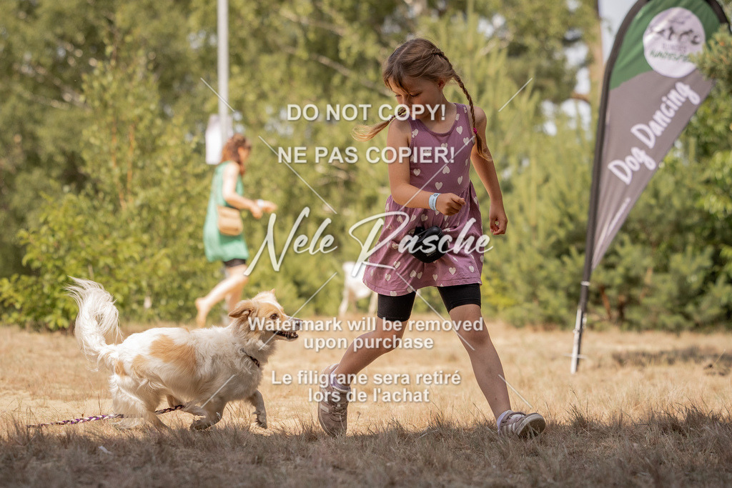 nelerasche_soDD2_284 | nelerasche