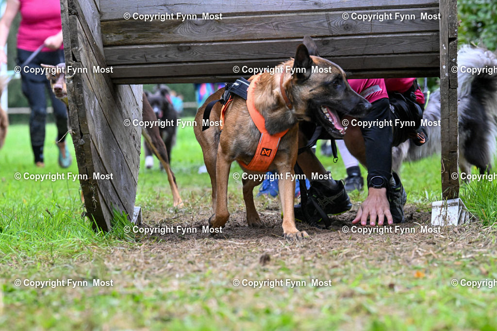 DSC_9558 | Hallo und herzlich Willkommen auf meiner Shop-Seite Fynn Most.

Ich wünsche Dir viel Spaß beim stöbern durch die Bilder, wenn Du Fragen hast oder Bilder vermisst, kannst du mir gerne eine Nachricht schreiben. - Realisiert mit Pictrs.com