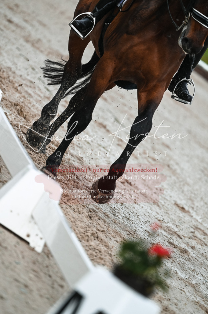 DSC_4207 | Pferde- und Turnierfotografie in Westsachsen. Pferdeportraits, Auftragszeichnungen und intuitive Kunst.