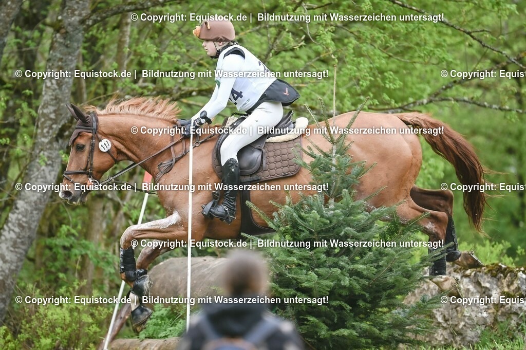 20230513_CCI2_Section2_Gelände_0369 | equistock