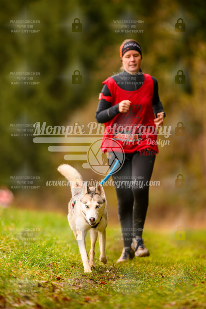 MompixPhotography_2SSTSSBW_2025_SO_Canicross-24 | PayLife