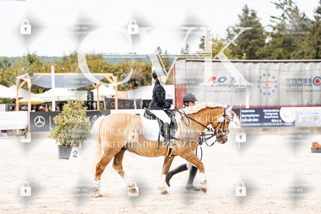 CK907067 | Turnierfotografie Pferdefotografie Trier Rheinland-Pfalz Pferdesport Reitsport Tierfotografie Sportfotografie Pferdevideo Pferdevideografie Equestrianvideography equestrianphotography  - Realisiert mit Pictrs.com