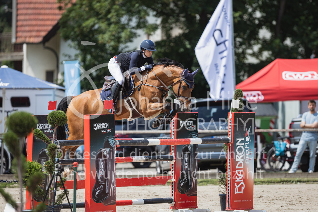 230624_PfSpTa_YoungsterM2-830 | Deine schönsten Turniermomente als professionelle Fotos! Entdecke hochwertige Pferdesport-Fotografie im Online-Shop. Jetzt Fotos finden & bestellen!