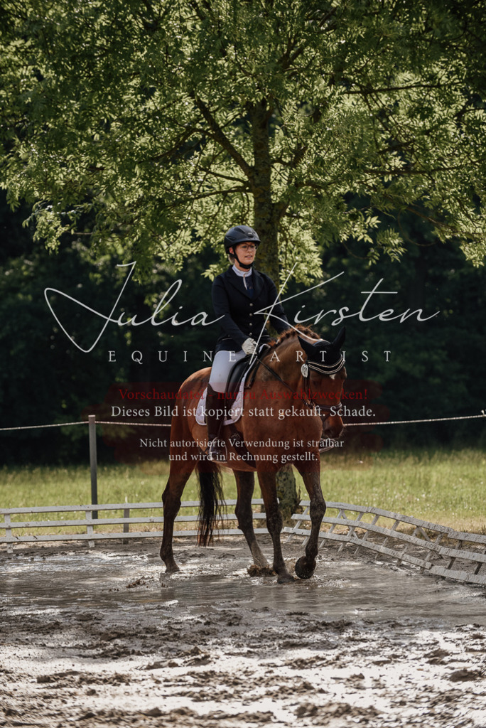 DSC_8878 | Pferde- und Turnierfotografie in Westsachsen. Pferdeportraits, Auftragszeichnungen und intuitive Kunst.