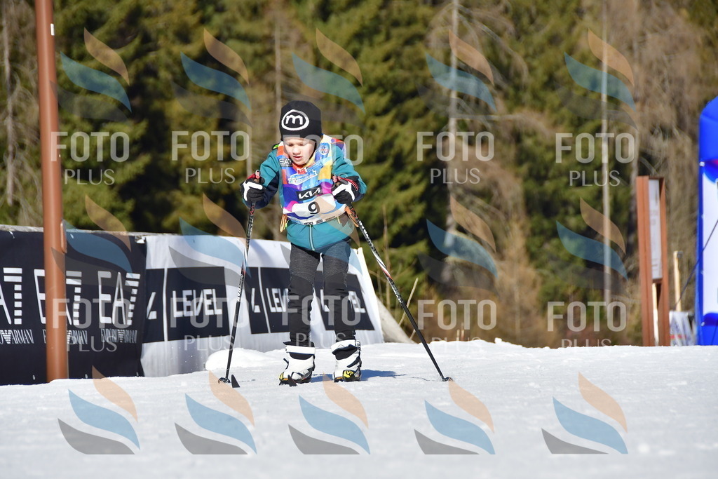 _DSC8653 | holidayphoto