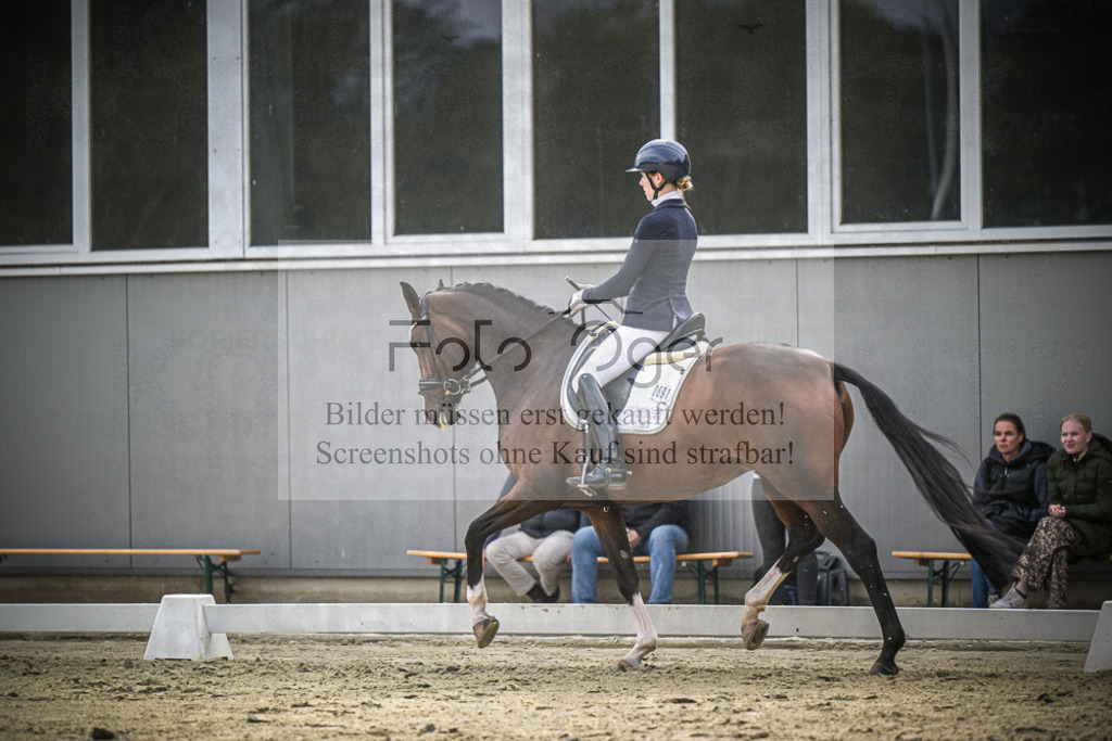 DOS_2028 | Entdecke hochwertige Reitturnierfotos von Foto Oger. Professionell, emotional und authentisch – jetzt Lieblingsmomente im Shop bestellen.Deutschlandweite Turnierfotografie. - Realisiert mit Pictrs.com