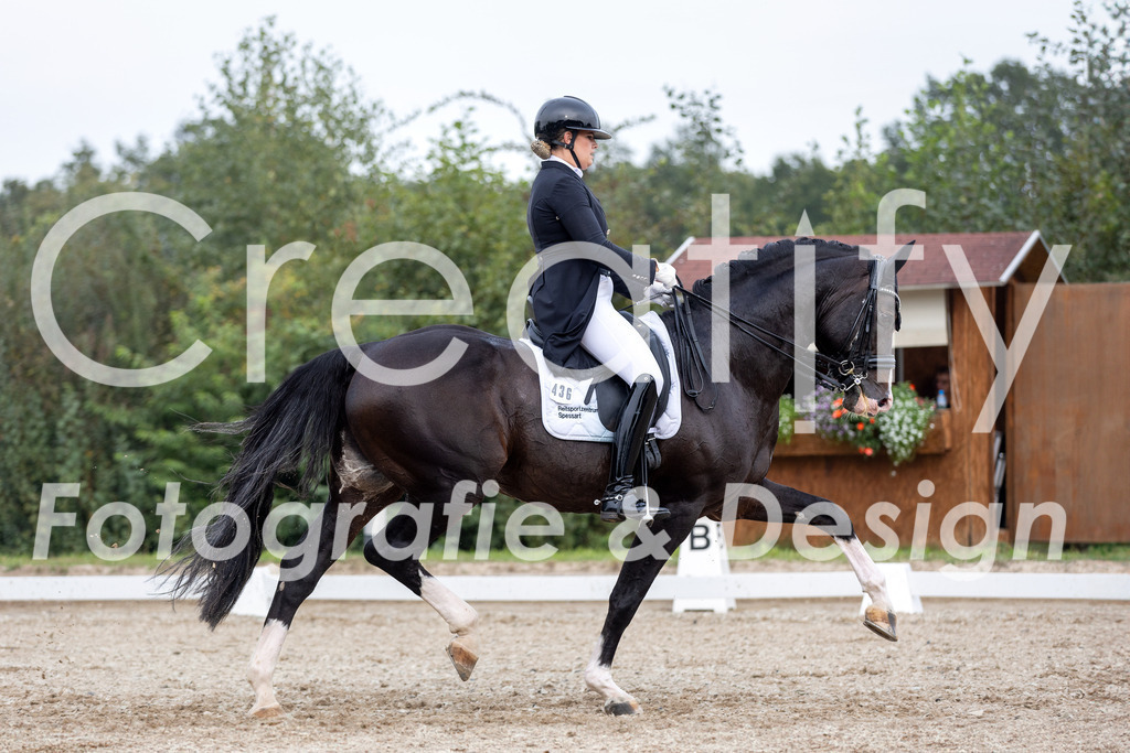 IMG_5235 | Creatify Fotografie