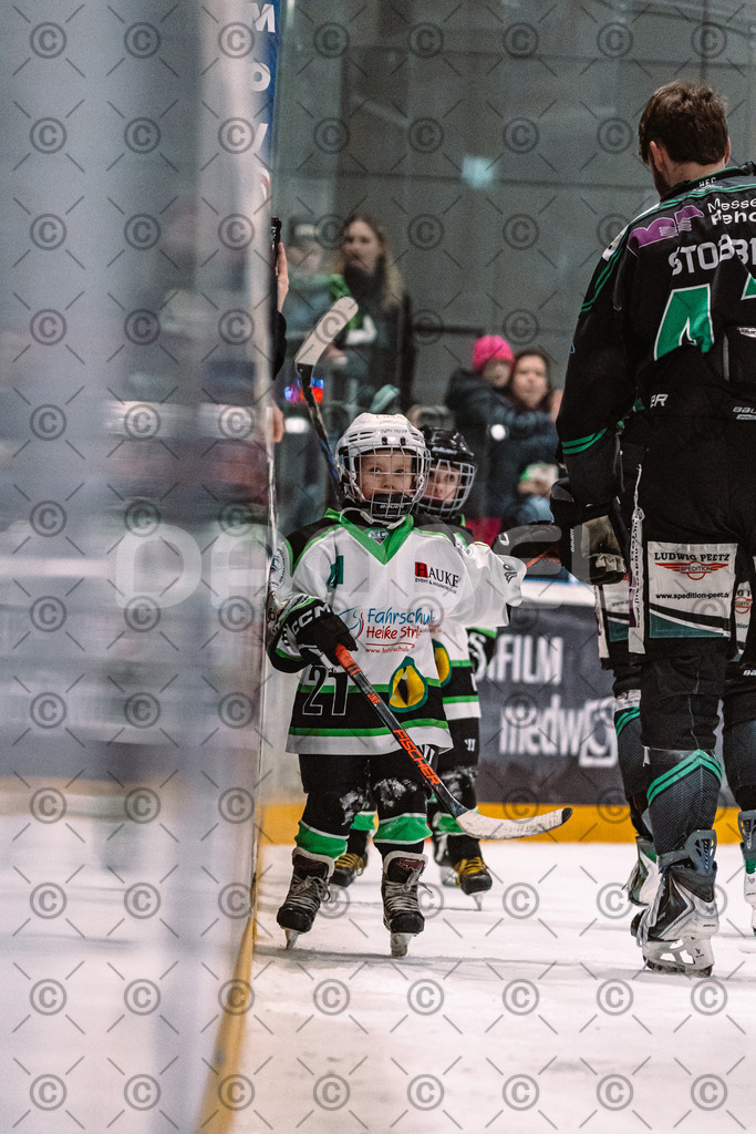 Alligators_vs_Erding_01_02_2026-40 | Höchstadt Alligators Fotogalerie: Eishockey-Action aus Franken. Professionelle Spielfotos, Portraits & Stadionbilder zum Download. Jetzt entdecken! - Realisiert mit Pictrs.com