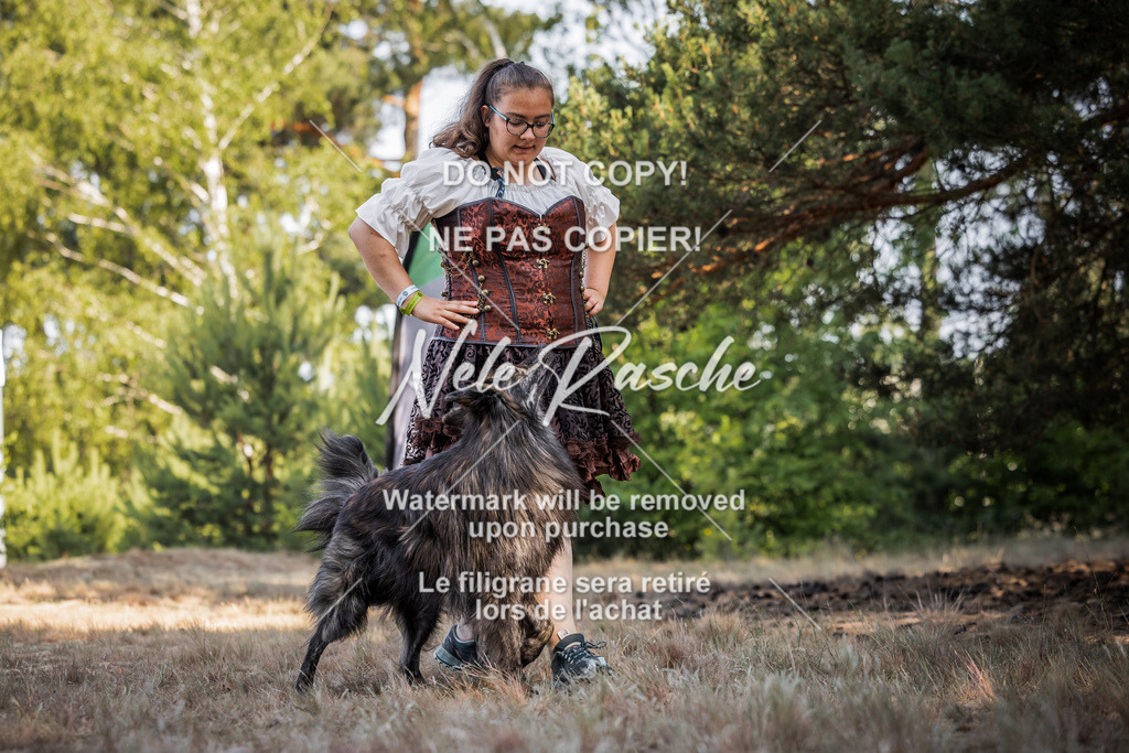 nelerasche_soDD1_49 | nelerasche