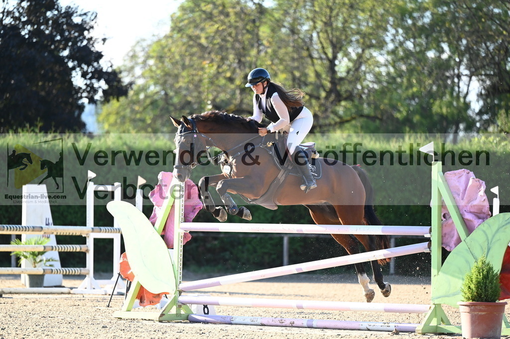 DSC_8916 | equestrian-live-com