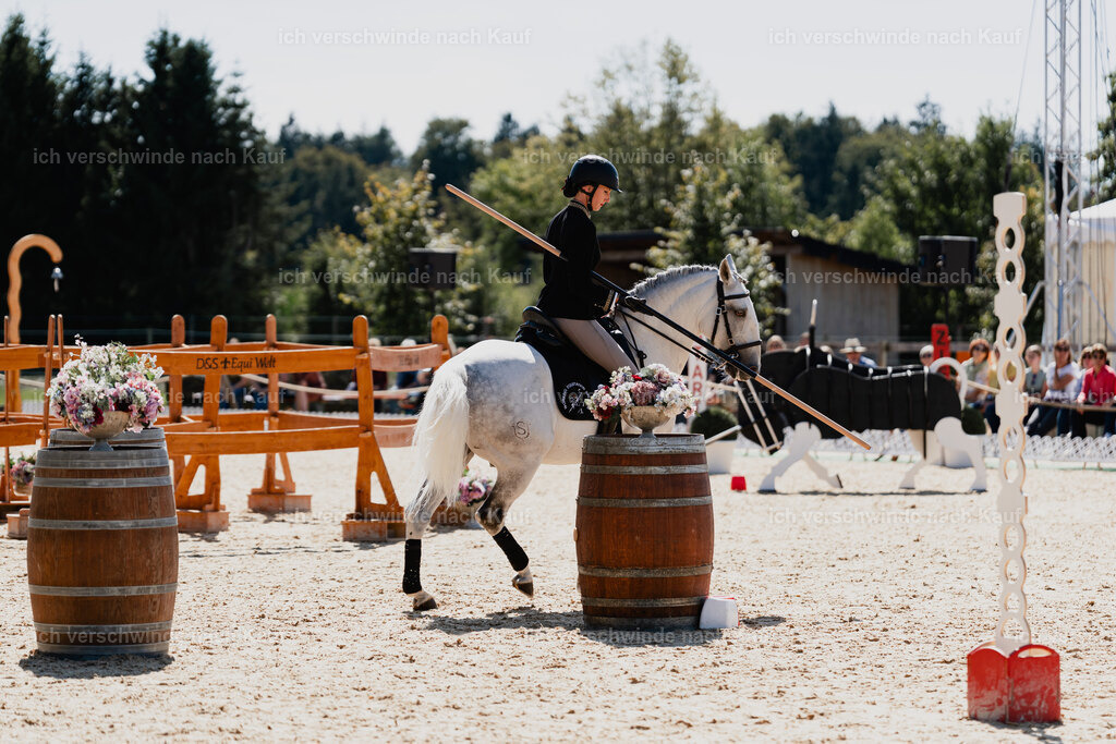 Virginie12FHC2025-08575 | working equitationturnier fotograf videograf stoibphotography marixx film working equitation deutschland reitsport turnierfotografie eventfotografie equestrian events