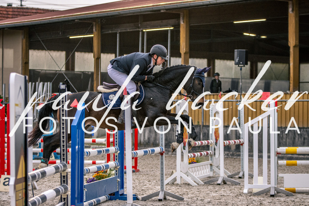 IMG_4848 | Erleben Sie dynamische Sport- und emotionale Tierfotografie in Süddeutschland mit Fotos von Paula. Spezialisiert auf Pferde- und Hundefotografie sowie Sportevents. Kontaktieren Sie mich für einzigartige und ausdrucksstarke Bilder Ihrer besonderen Momente.