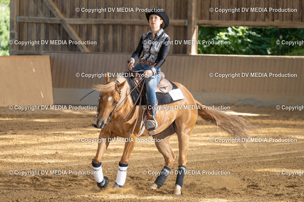 DSC00316 | dv-media-shop - Realisiert mit Pictrs.com