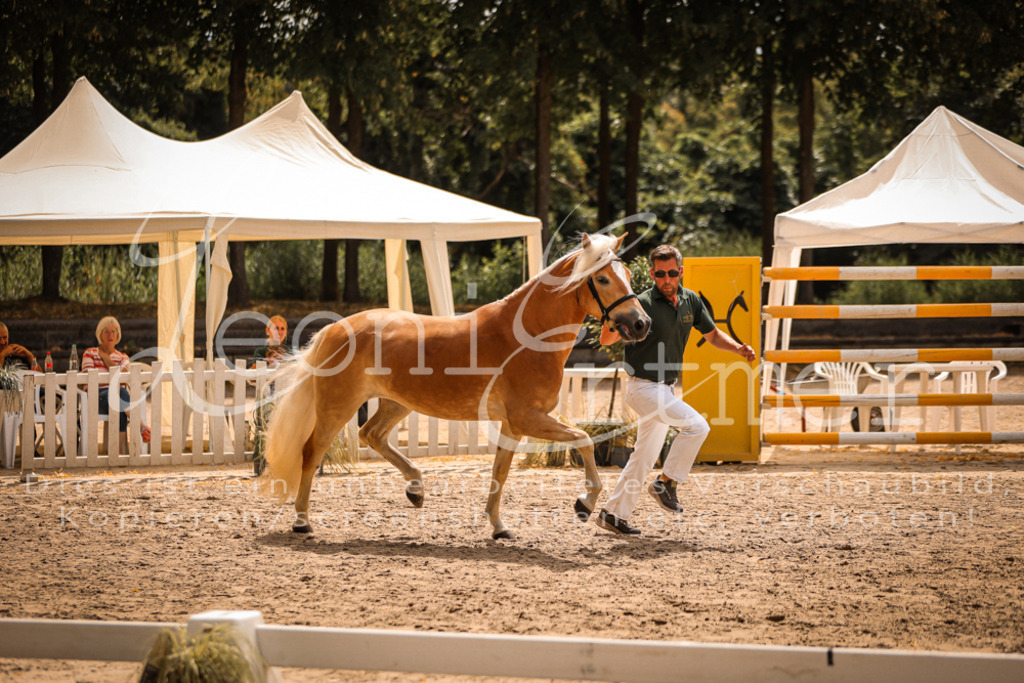 06.So00024 | Leoni Ertmer Photography - Realisiert mit Pictrs.com